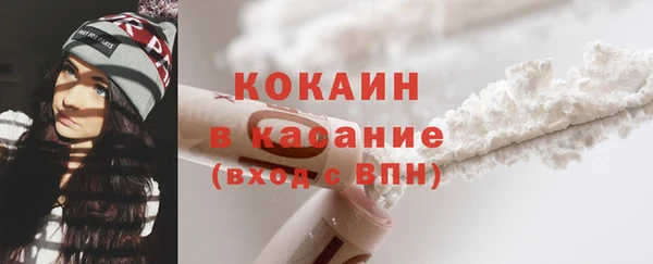 сатива Балахна