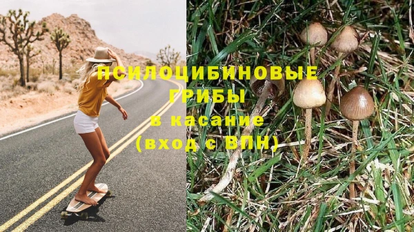 прущая мука Покровск