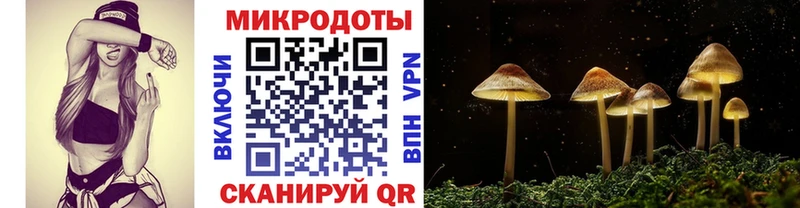 Галлюциногенные грибы Cubensis  маркетплейс какой сайт  Семёнов 